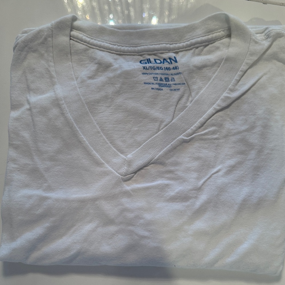 Gildan Classic White V-Neck Tee. Add to another item for bundle discount